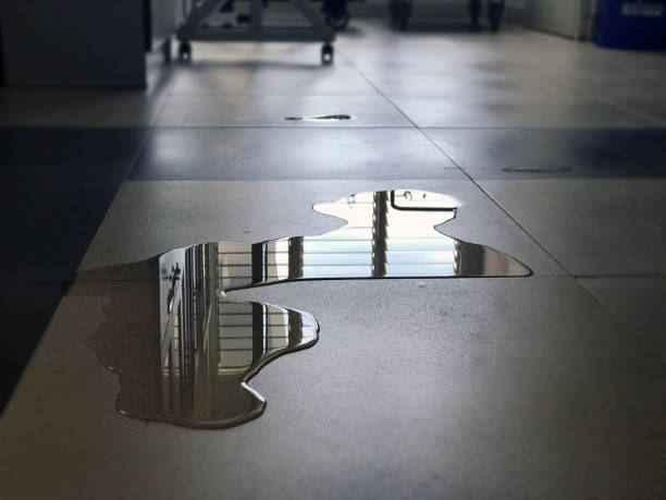 Best Water damage restoration near me  in Fort Mill, SC