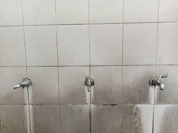 Best Flood restoration services  in Fort Mill, SC